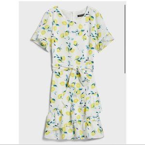 NWT Banana Republic Factory White Lemon Print Dress